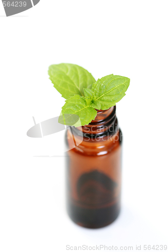 Image of peppermint oil