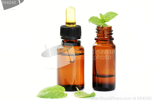 Image of peppermint oil