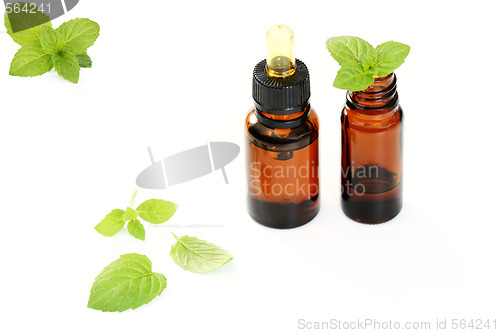 Image of peppermint oil