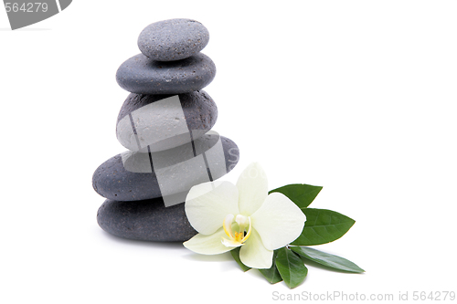 Image of zen stones with orchids flower isolated. spa background