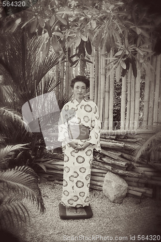 Image of Geisha