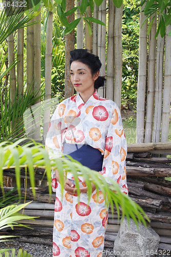 Image of Geisha