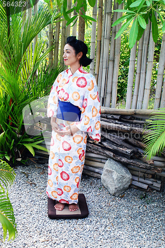 Image of Geisha