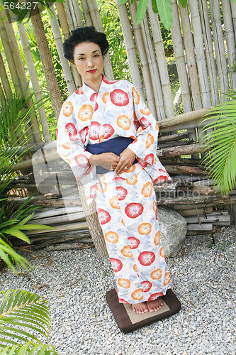 Image of Geisha