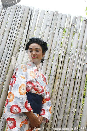 Image of Geisha