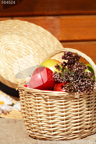 Image of Basket with apples and herbs