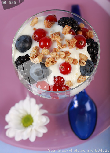 Image of Healthy yogurts