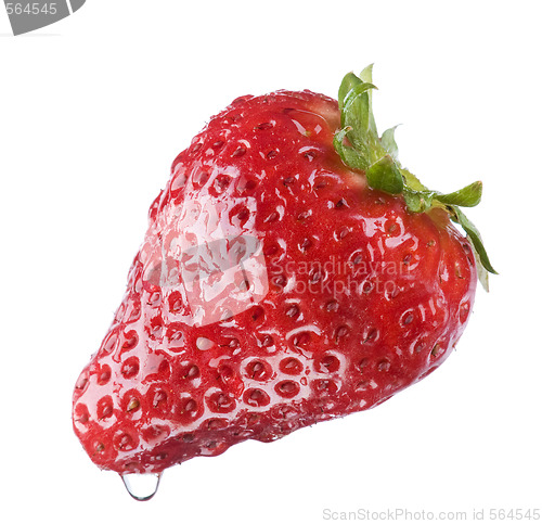 Image of fruit