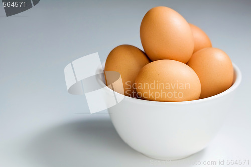 Image of Fresh Brown Eggs in White Bowl On Blue Gray