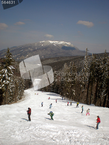 Image of Mountain sloap