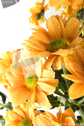 Image of boquet of orange flowers