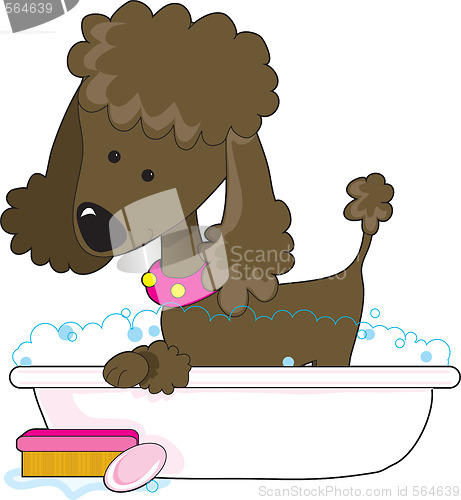 Image of Poodle Bath Brown