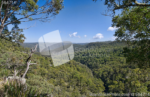Image of looking out over the forests
