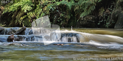 Image of flowing river or creek