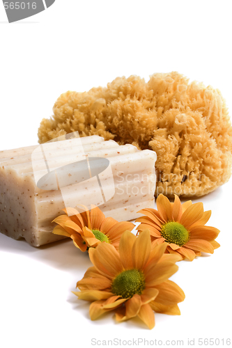 Image of natural sponge, soap and flowers