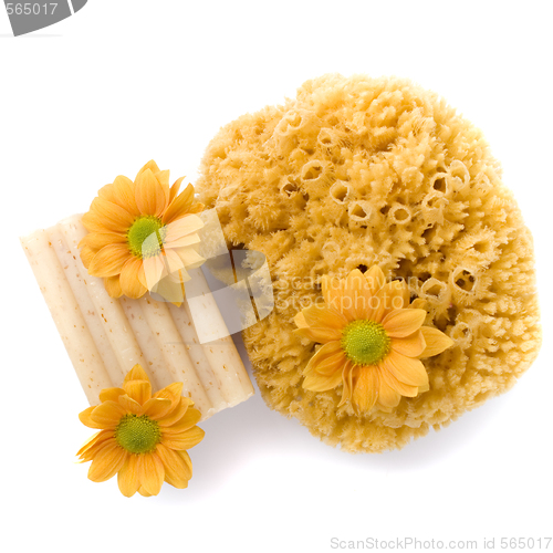 Image of natural sponge, soap and flowers