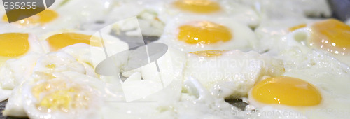 Image of eggs