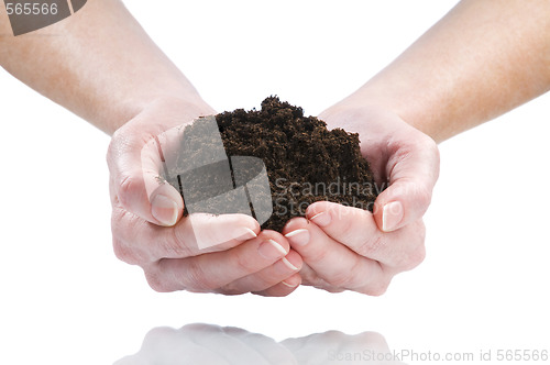 Image of dirt