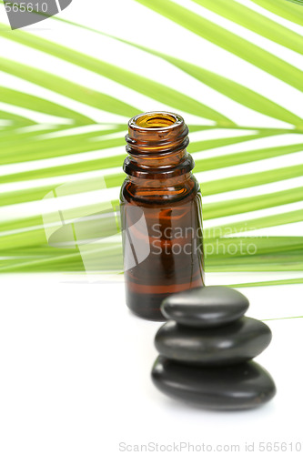 Image of essential oil