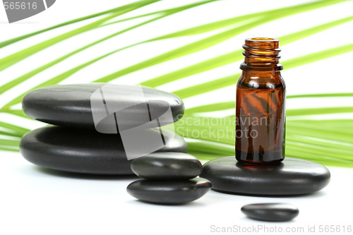 Image of essential oil