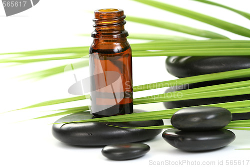 Image of essential oil