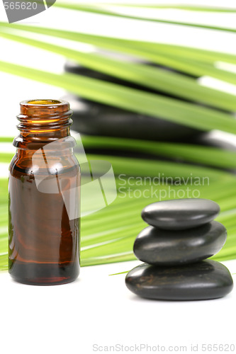 Image of essential oil