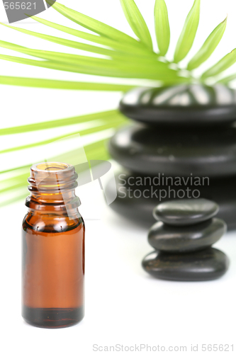 Image of essential oil