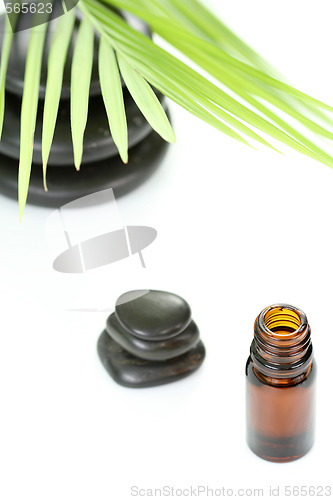 Image of essential oil