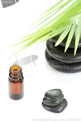 Image of essential oil