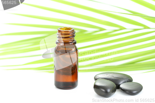 Image of essential oil