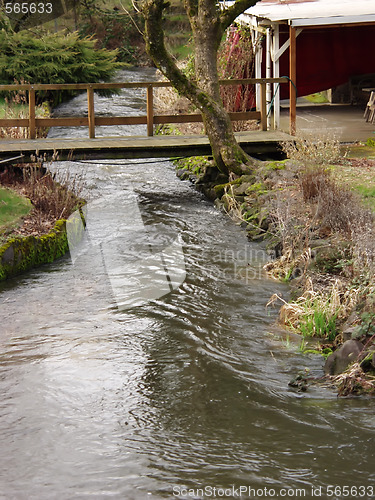 Image of By the Creek