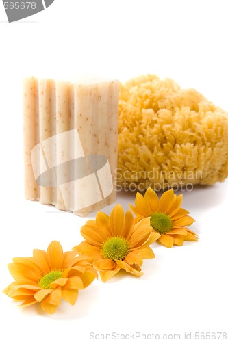 Image of natural sponge, soap and flowers