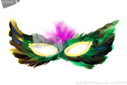 Image of Isolated Feather Mask