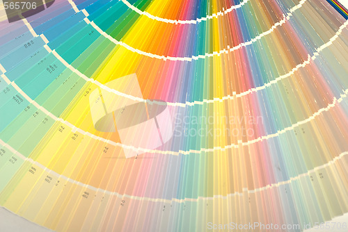 Image of Paint Color Swatch