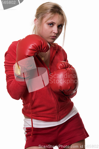 Image of Girl boxer