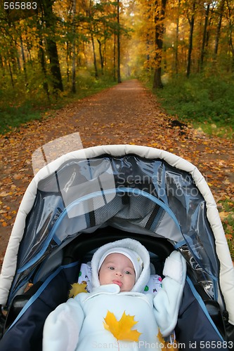 Image of baby in sidercar on background of the autumn park