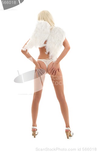 Image of white lingerie angel