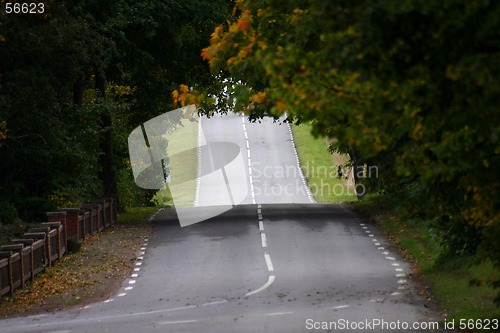 Image of way through a forest