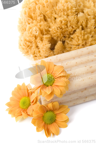 Image of natural sponge, soap and flowers