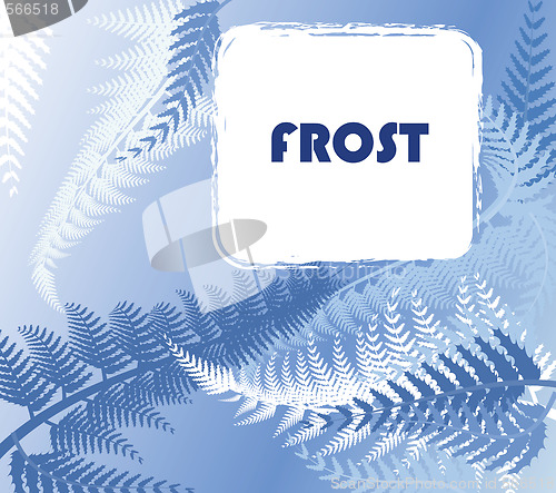 Image of Winter frosty pattern