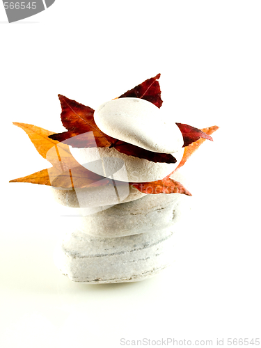 Image of Beach stones with fall leaves