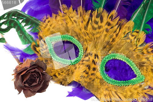 Image of Mardi Gras Mask