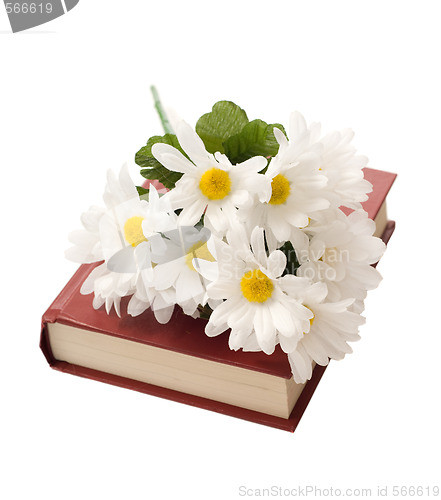 Image of Isolated Book With Daisies