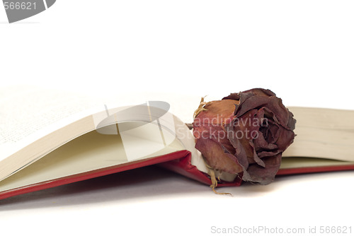 Image of Romantic Book