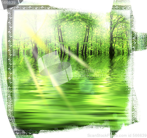 Image of Green Forest.