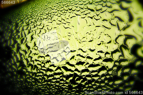 Image of Green drops of water - light from backside. Macro