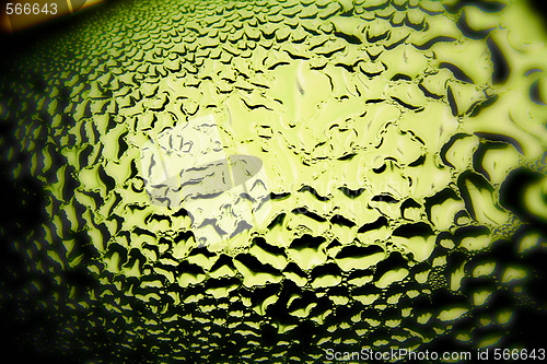 Image of Green drops of water - light from backside. Macro