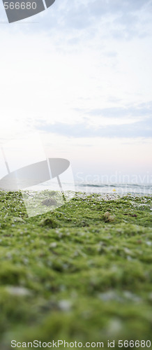 Image of Summertime at the beach.