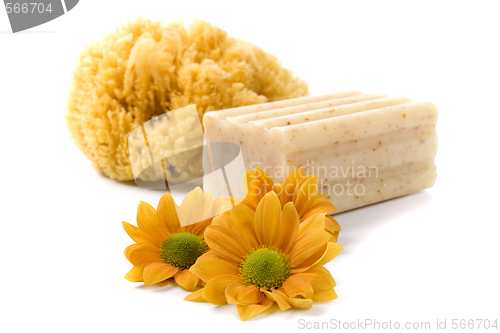 Image of natural sponge, soap and flowers