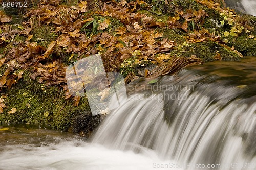 Image of River in the mountain with leaves all over the flor